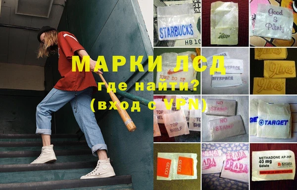 спиды Аркадак