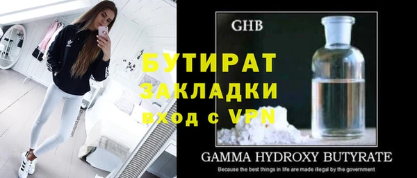 шишки Новодвинск
