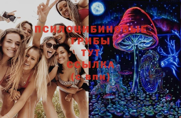 скорость Арсеньев