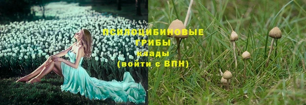 скорость Арсеньев
