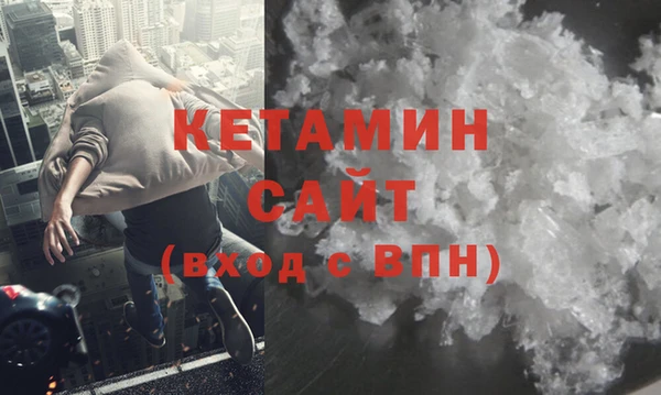 шишки Новодвинск