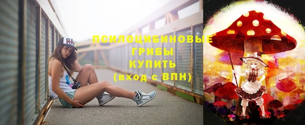 спиды Аркадак