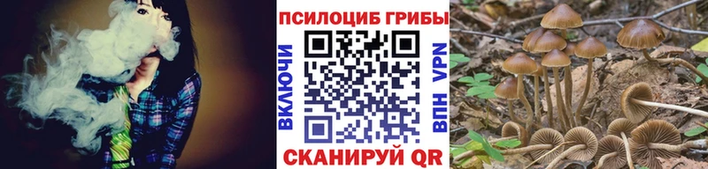 где продают сайты даркнета Telegram Псилоцибиновые грибы мицелий Сосногорск